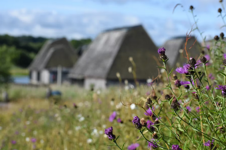 free things to do with kids in Lancashire